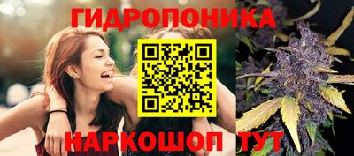 гашиш Аша
