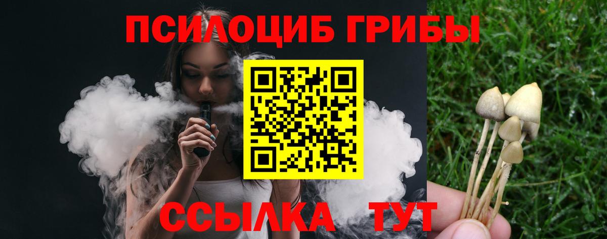 Королёв  Псилоцибиновые грибы Psilocybine cubensis  Вход с VPN 
